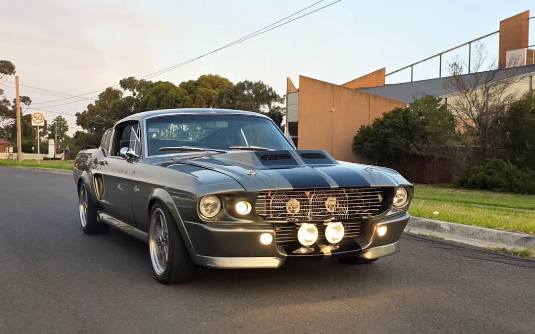 Grey Shelby — Modern Muscle
